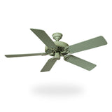 Painted Fan