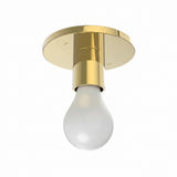 Flush Mount Canopy Light